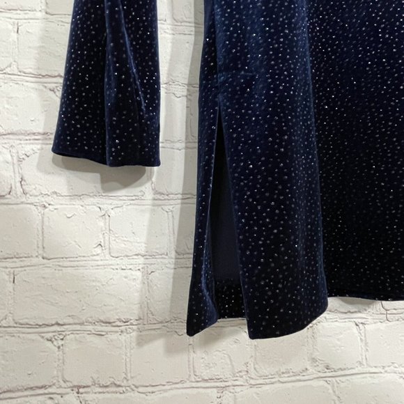 R & M Richards by Karen Kwong Vintage Plus Velvet Sparkle Stretch Blouse Top 18 - Picture 6 of 9